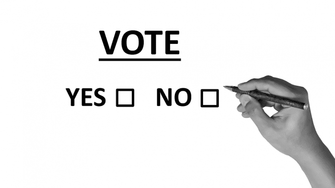 vote-2042580_960_720