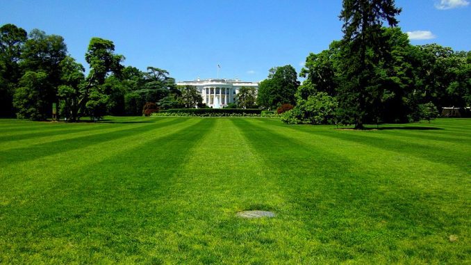 white house free