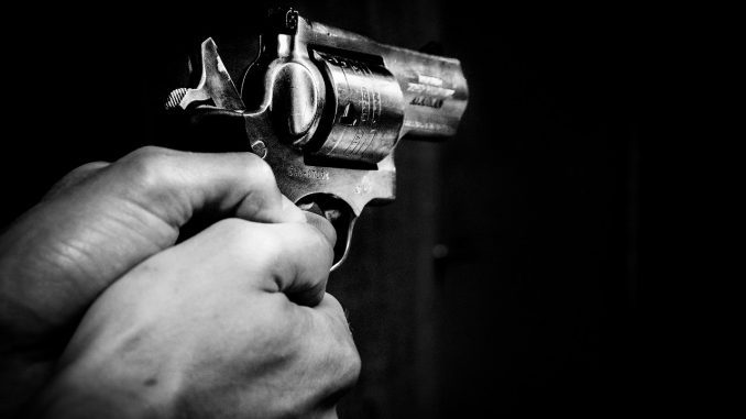 guns free