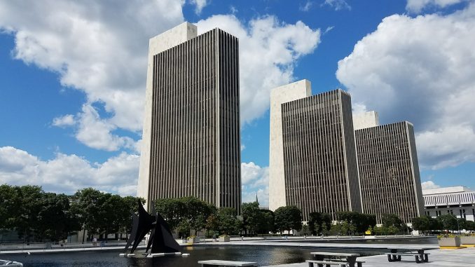 new york government