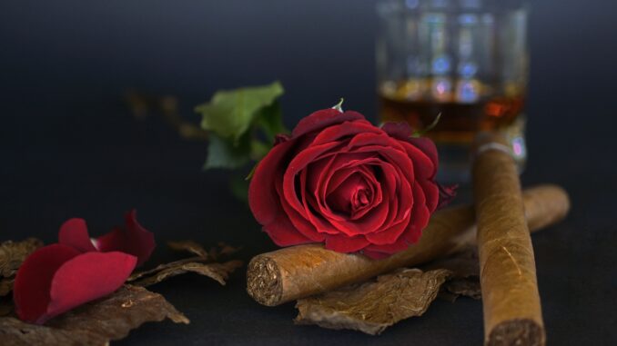 rose-1473690_1920