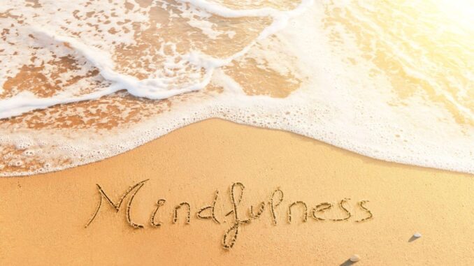 Dr-Indhushree-Rajan-Living-in-the-Magic-of-Life